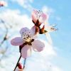 建筑猎头顾问陈老师个人信息_三幸网