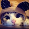 建筑猎头顾问李工个人信息_三幸网