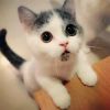 建筑猎头顾问李工个人信息_三幸网