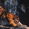 建筑猎头顾问宋德成个人信息_三幸网