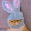 建筑猎头顾问鞠先生个人信息_三幸网