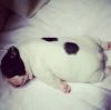 建筑猎头顾问姚女士个人信息_三幸网