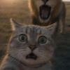 建筑猎头顾问全辉个人信息_三幸网