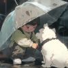 建筑猎头顾问范先生个人信息_三幸网