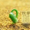 建筑猎头顾问熊工个人信息_三幸网