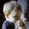 建筑猎头顾问钟工个人信息_三幸网
