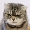 建筑猎头顾问王女士个人信息_三幸网