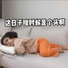建筑猎头顾问刘工个人信息_三幸网
