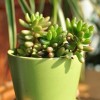 建筑猎头顾问张菁菁个人信息_三幸网