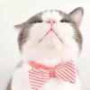 建筑猎头顾问苏女士个人信息_三幸网