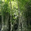 建筑猎头顾问谭工个人信息_三幸网