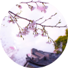 建筑猎头顾问白先生个人信息_三幸网