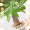 建筑猎头顾问胡小姐个人信息_三幸网