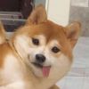 建筑猎头顾问范峥礼个人信息_三幸网