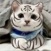 建筑猎头顾问谭鹏个人信息_三幸网