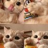 建筑猎头顾问侯旺个人信息_三幸网