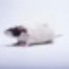 建筑猎头顾问陈生个人信息_三幸网