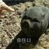 建筑猎头顾问小杨个人信息_三幸网