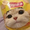 建筑猎头顾问王松个人信息_三幸网