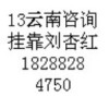建筑猎头顾问刘杏红个人信息_三幸网