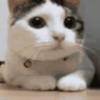 建筑猎头顾问韦工个人信息_三幸网