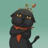 建筑猎头顾问谭工个人信息_三幸网