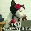 建筑猎头顾问张毅个人信息_三幸网