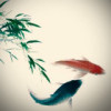 建筑猎头顾问陈工个人信息_三幸网