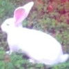 建筑猎头顾问方婷个人信息_三幸网