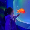 建筑猎头顾问霍个人信息_三幸网