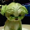 建筑猎头顾问陈个人信息_三幸网