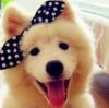 建筑猎头顾问贺女士个人信息_三幸网