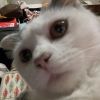 建筑猎头顾问李经理个人信息_三幸网
