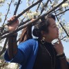 建筑猎头顾问杨丽梅个人信息_三幸网
