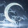 建筑猎头顾问李思明个人信息_三幸网
