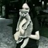 建筑猎头顾问杨鑫个人信息_三幸网