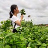 建筑猎头顾问邓女士个人信息_三幸网
