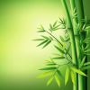 建筑猎头顾问金老师个人信息_三幸网