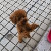 建筑猎头顾问高工个人信息_三幸网