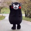 建筑猎头顾问王天宝个人信息_三幸网