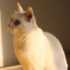 建筑猎头顾问刘先生个人信息_三幸网
