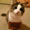 建筑猎头顾问曾红军个人信息_三幸网