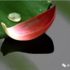 建筑猎头顾问九头鸟个人信息_三幸网