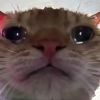 建筑猎头顾问杨工个人信息_三幸网