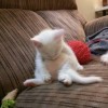 建筑猎头顾问吕工个人信息_三幸网