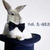 建筑猎头顾问王经理个人信息_三幸网