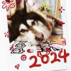 建筑猎头顾问夏个人信息_三幸网