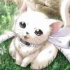建筑猎头顾问闵霞个人信息_三幸网