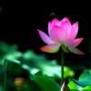 建筑猎头顾问刘邵敏个人信息_三幸网