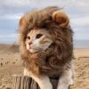 建筑猎头顾问杨丽个人信息_三幸网